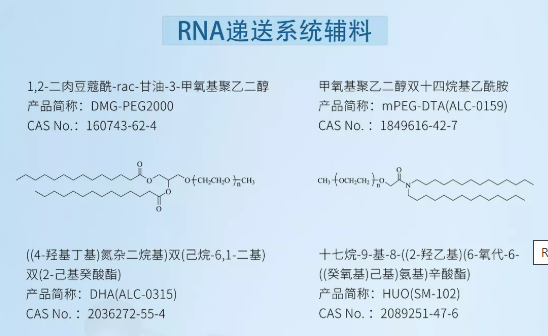 賽諾邦格邀請函丨天津2022疫苗研發(fā)和技術(shù)創(chuàng)新高峰論壇