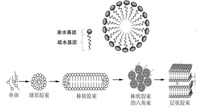 聚合物膠束技術(shù)及國產(chǎn)輔料供應